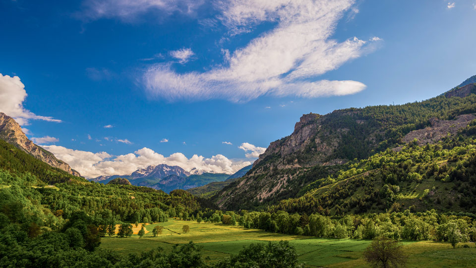 La Cordeline (Brignoles)  Provence-Alpes-Côte d'Azur Tourism